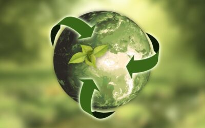 Impatto della sostenibilità ambientale sull’export delle aziende italiane