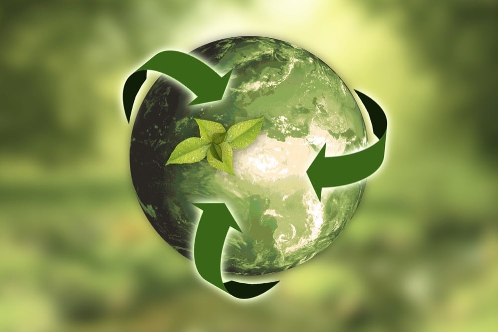 Impatto della sostenibilità ambientale sull’export delle aziende italiane